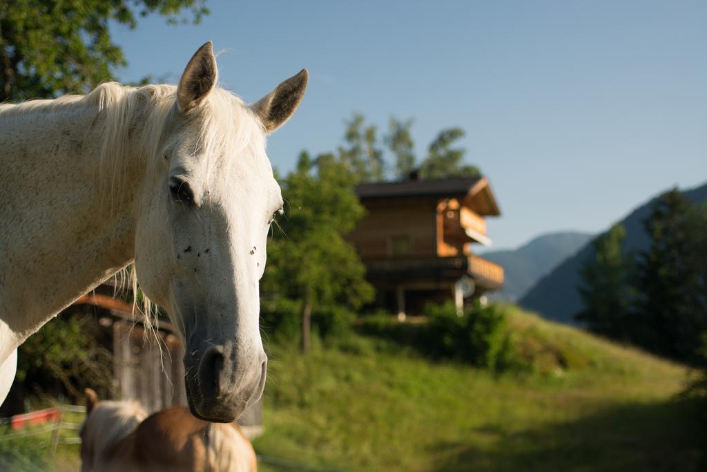 Ferienhaus Oetztal Sautens Εξωτερικό φωτογραφία