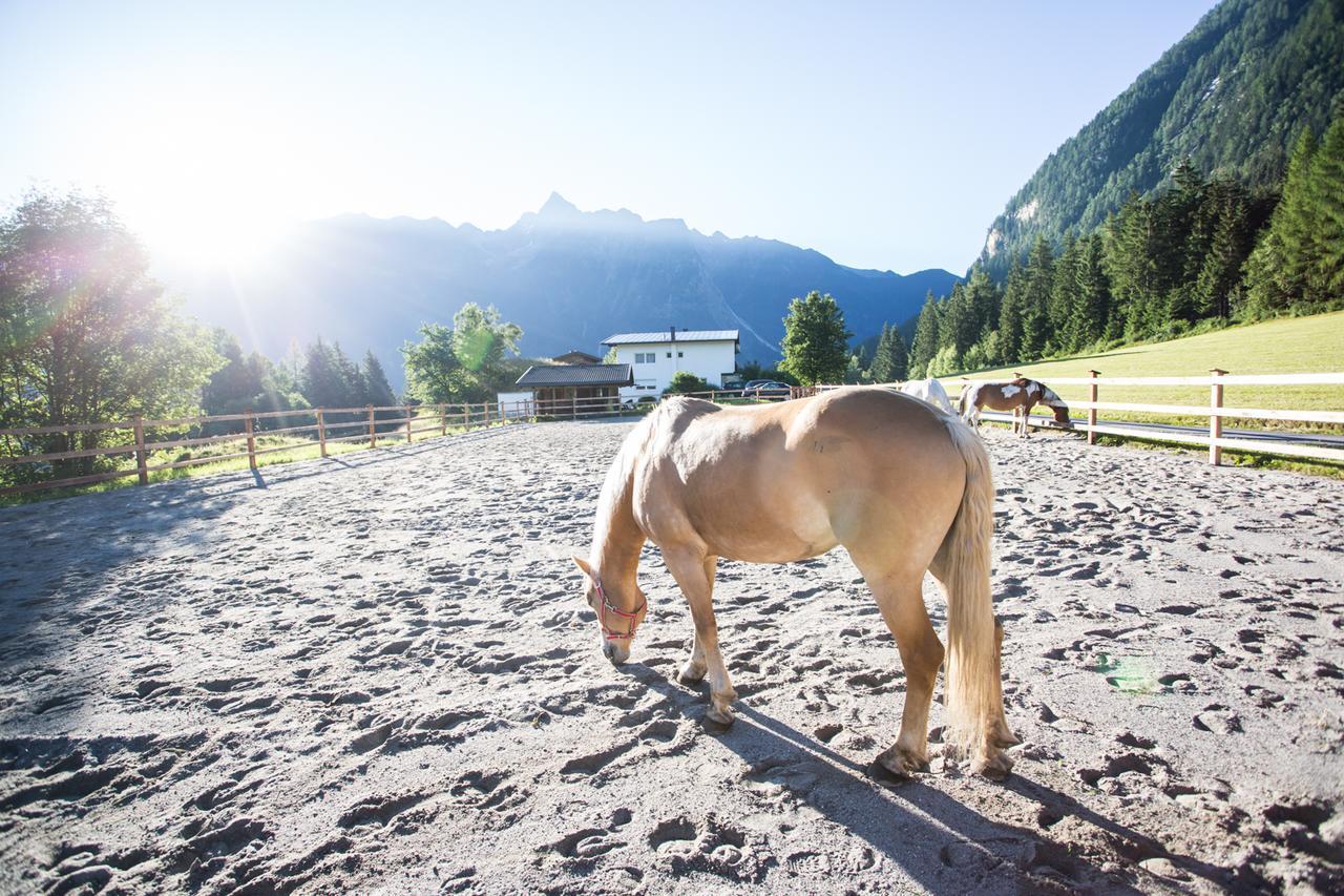 Ferienhaus Oetztal Sautens Εξωτερικό φωτογραφία
